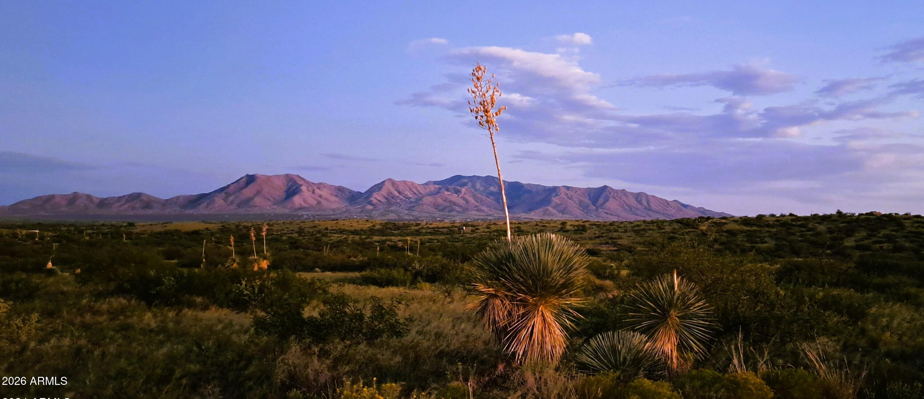 TBD E Walker Ranch Road '-', Dragoon, AZ 85609
