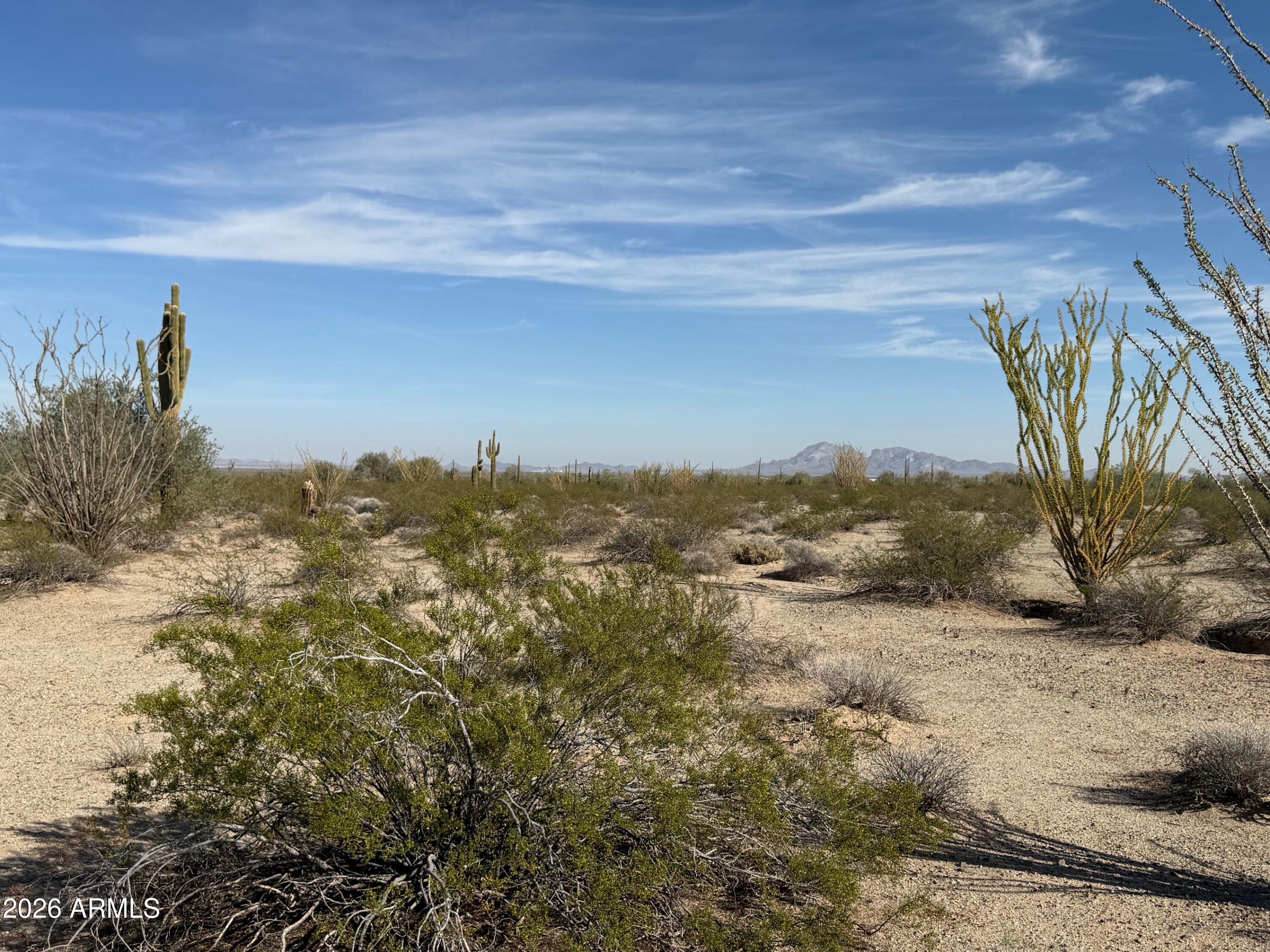 48620 W Van Buren Street -, Tonopah, AZ 85354