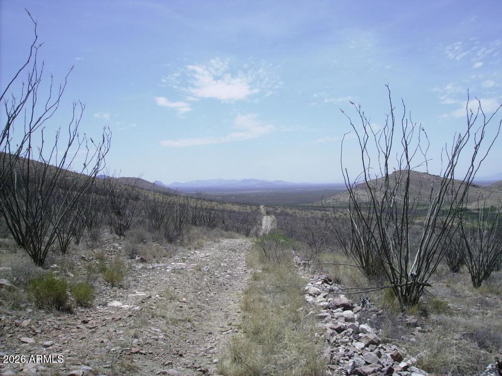 405-77-109 N Wilderness Trail 109, Douglas, AZ 85067