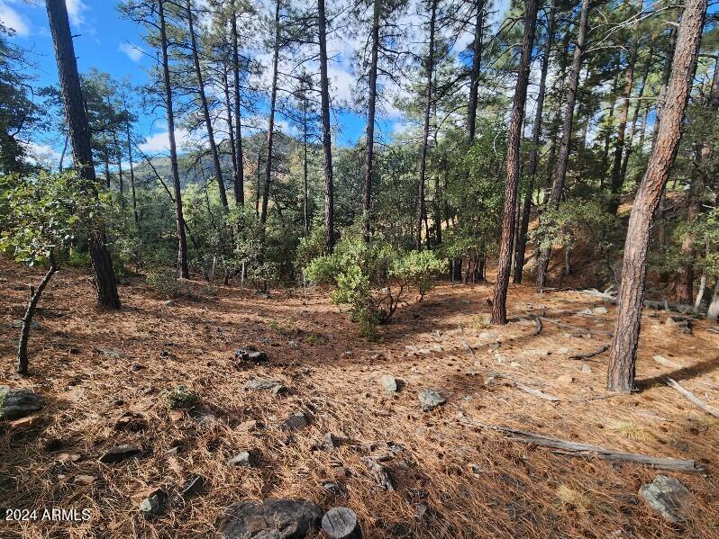 000 N Sundown Lane Lane 104, Pine, AZ 85544