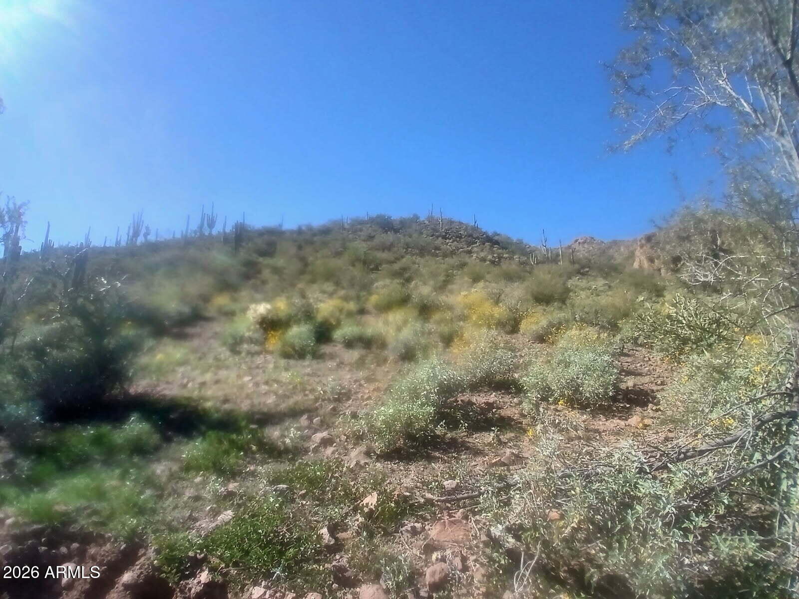 37750 S COW CREEK Road 53, Morristown, AZ 85342