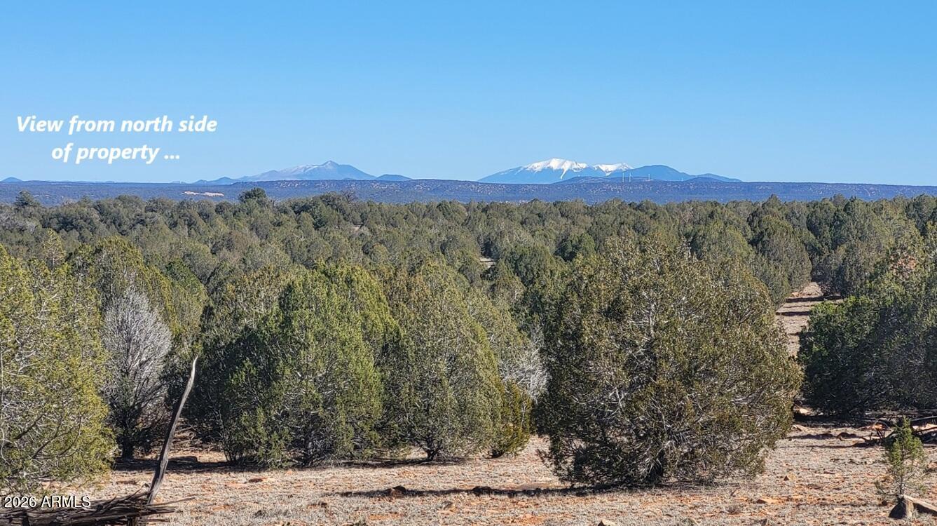 861 E2 Cable Road 861, Williams, AZ 86046