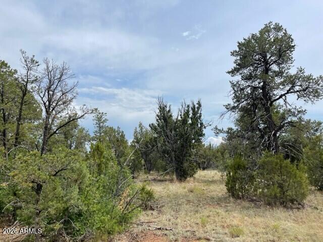 8418 HAVEN CREST Drive 223, Happy Jack, AZ 86024