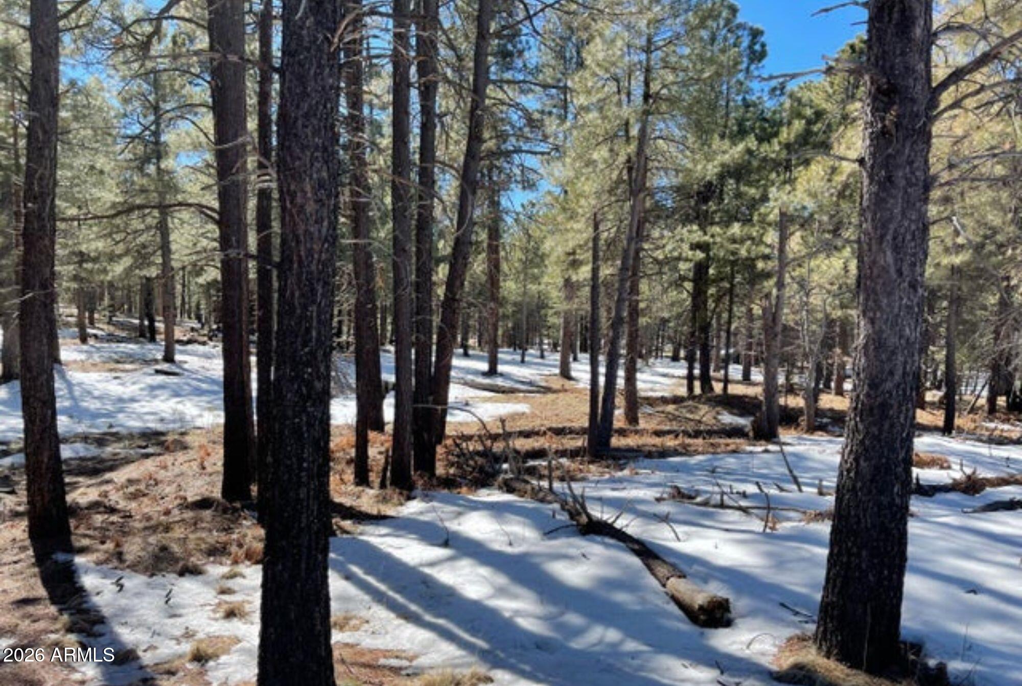 2692 STATE ROUTE 260 Route 895, Forest Lakes, AZ 85931