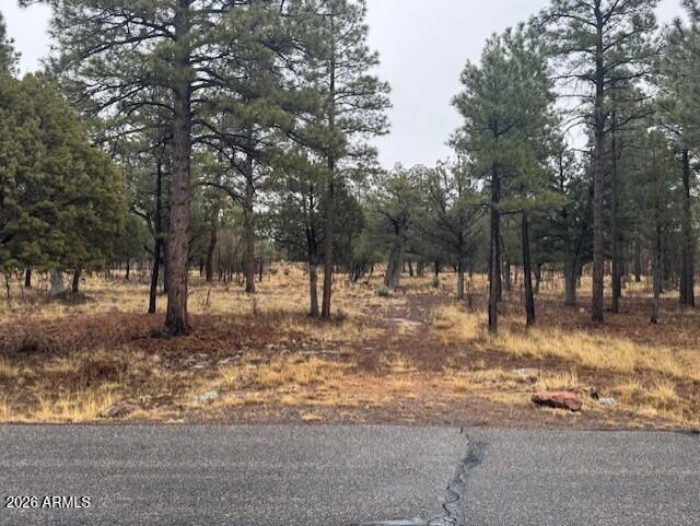 2625 Roundup Lane 246, Happy Jack, AZ 86024