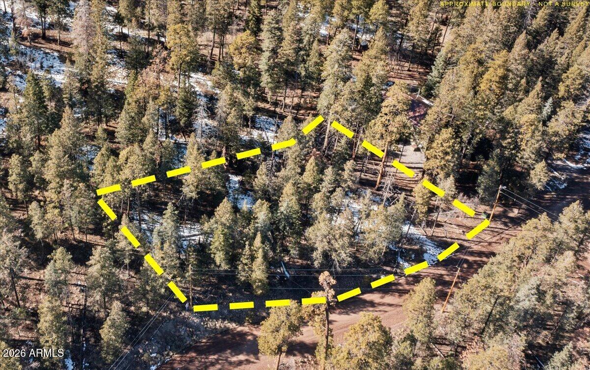 9 COUNTY ROAD 2073 1, Alpine, AZ 85920
