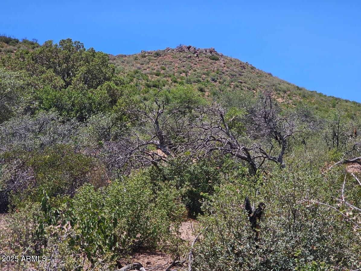 4XX S El Capitan Drive -, Globe, AZ 85501