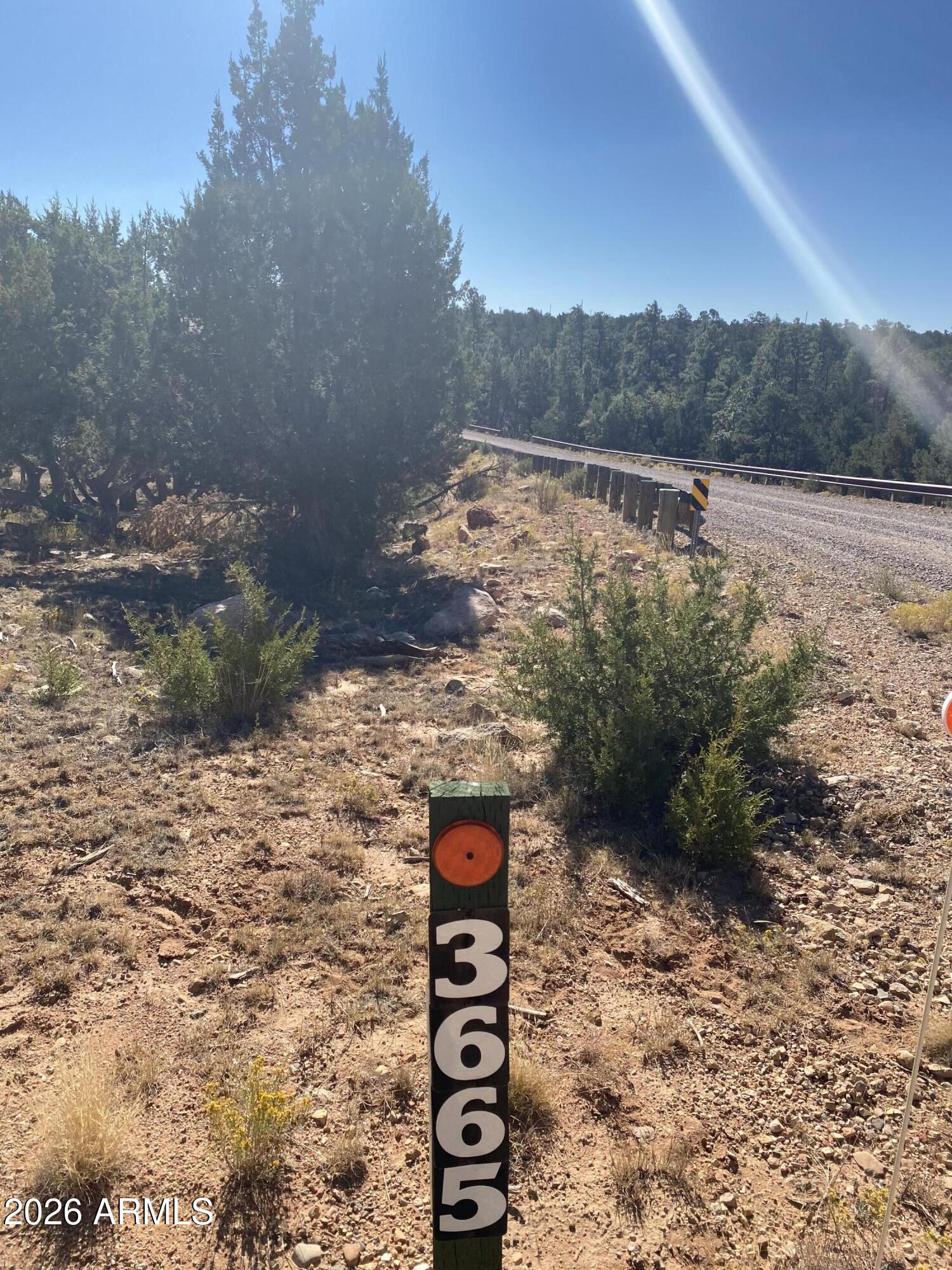 3665 PINEHURST Drive 170, Happy Jack, AZ 86024