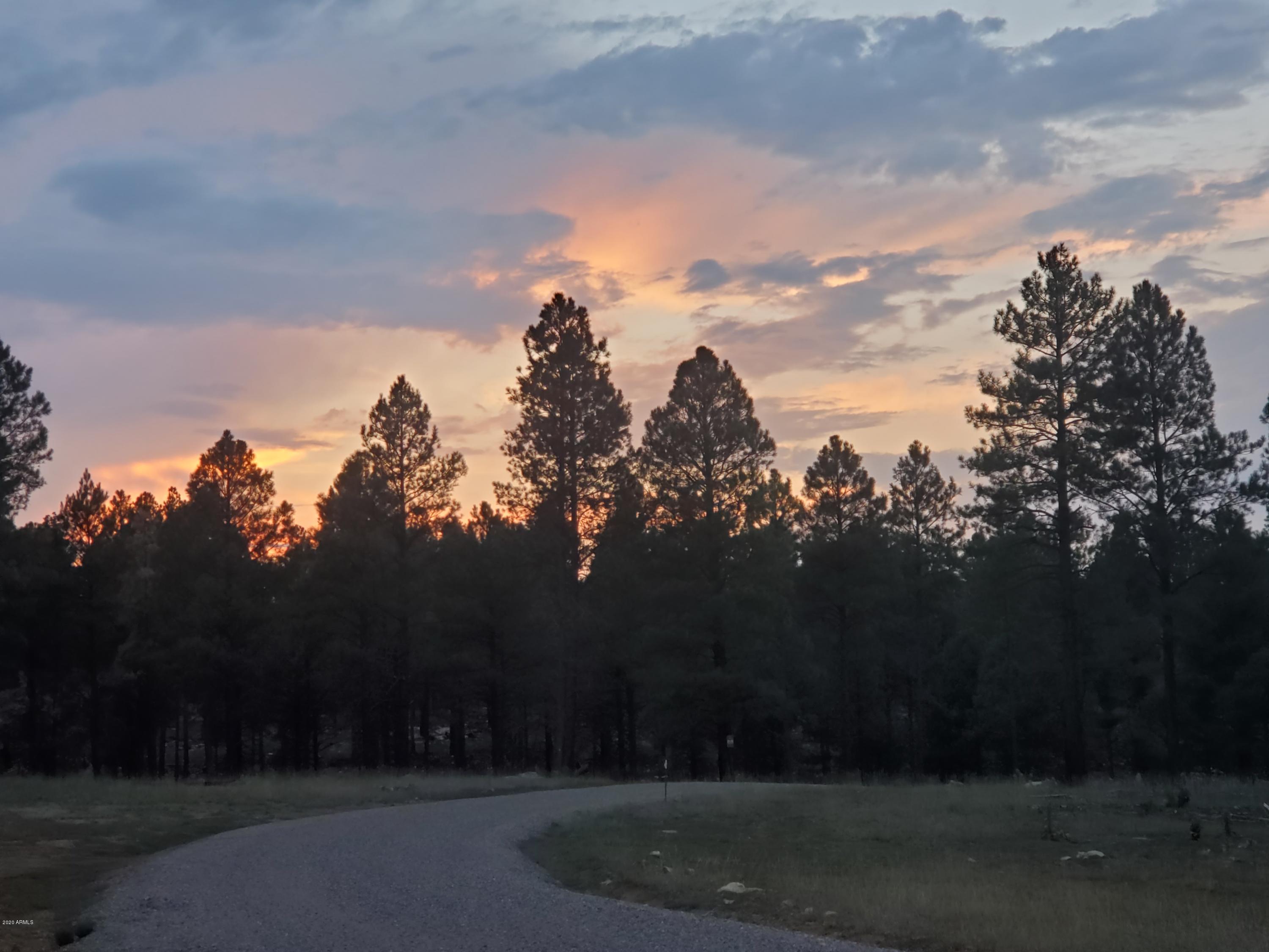 7800 Forest Service 122 Rd-Tract 9B 9-B, Happy Jack, AZ 86024