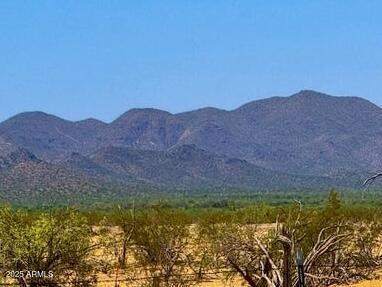 0 W Maser Way 5 Acres -, Marana, AZ 85653
