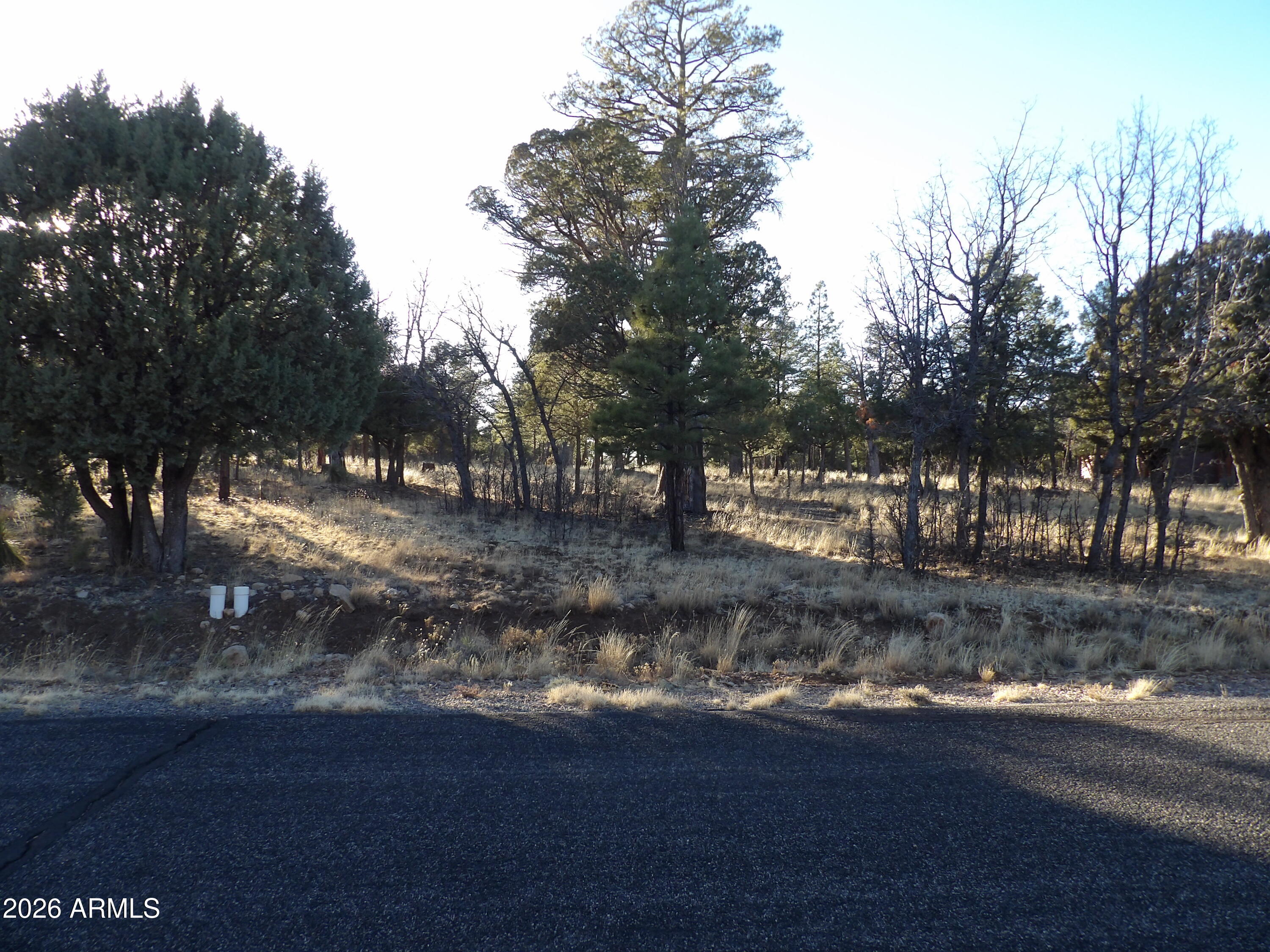 2570 KETTLE Way 200, Happy Jack, AZ 86024