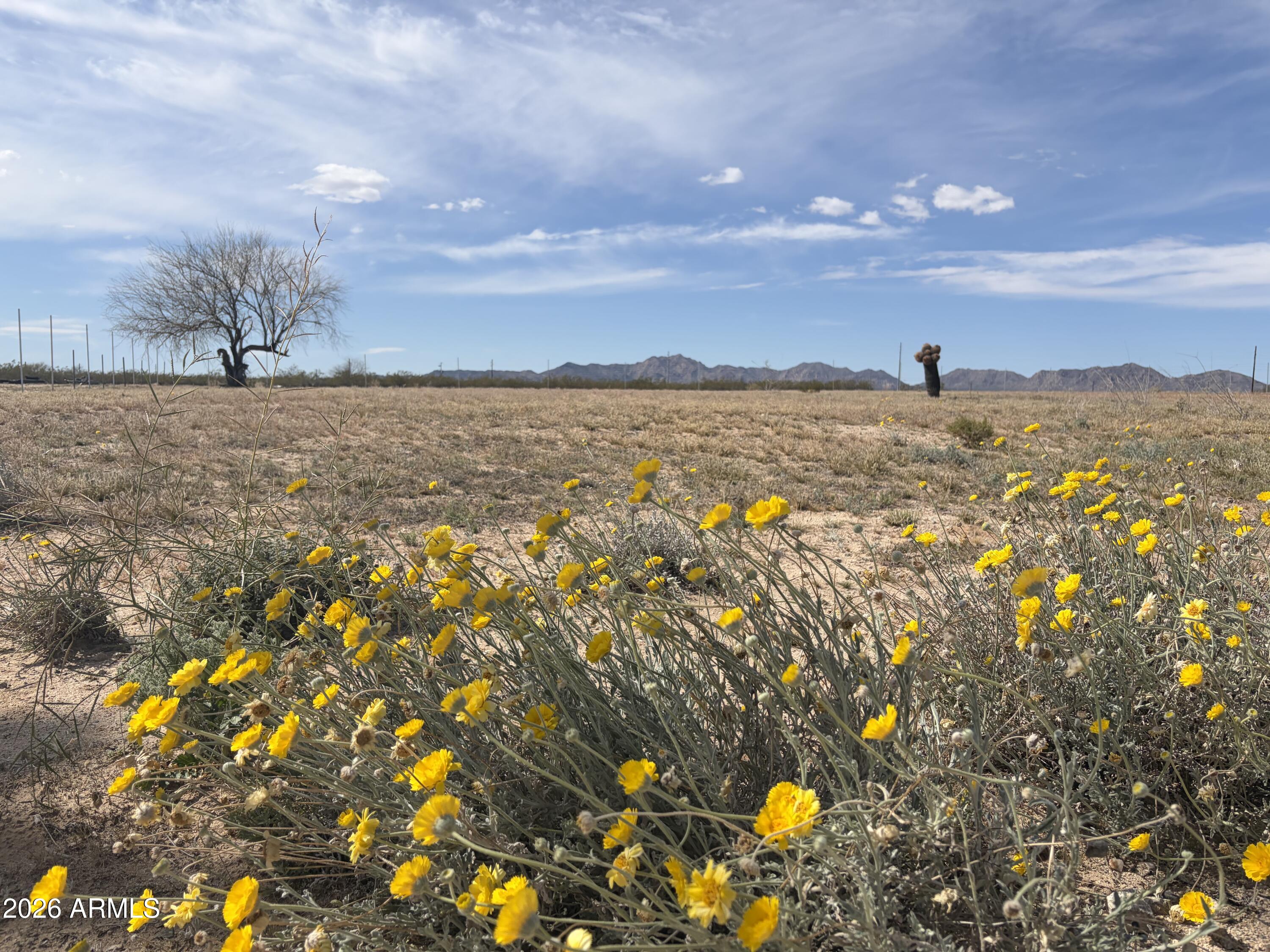 37138 SIX SHOOTER Road 3, Salome, AZ 85348