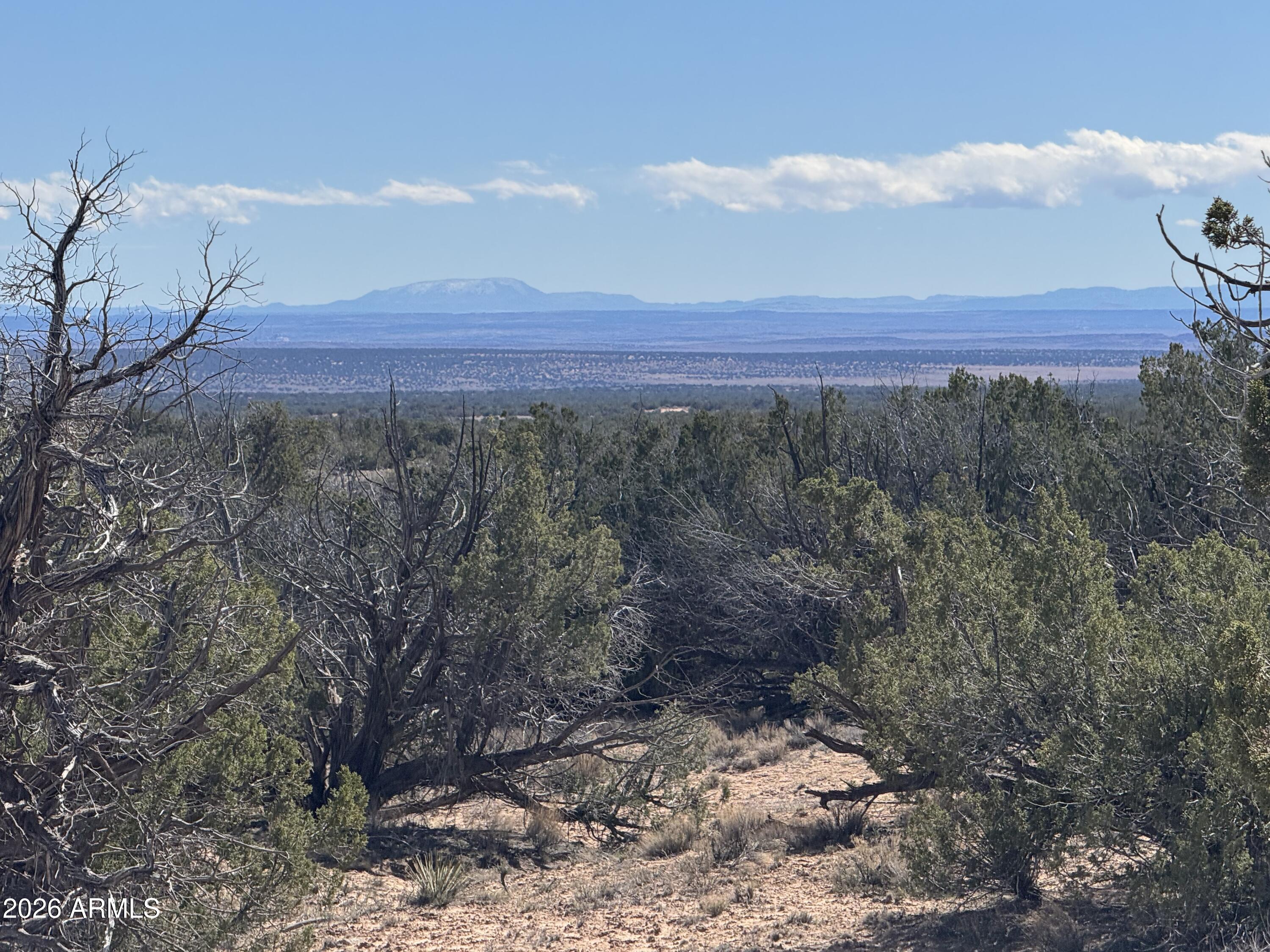 Lot 75 Red Sky Ranch 75, St Johns, AZ 85936