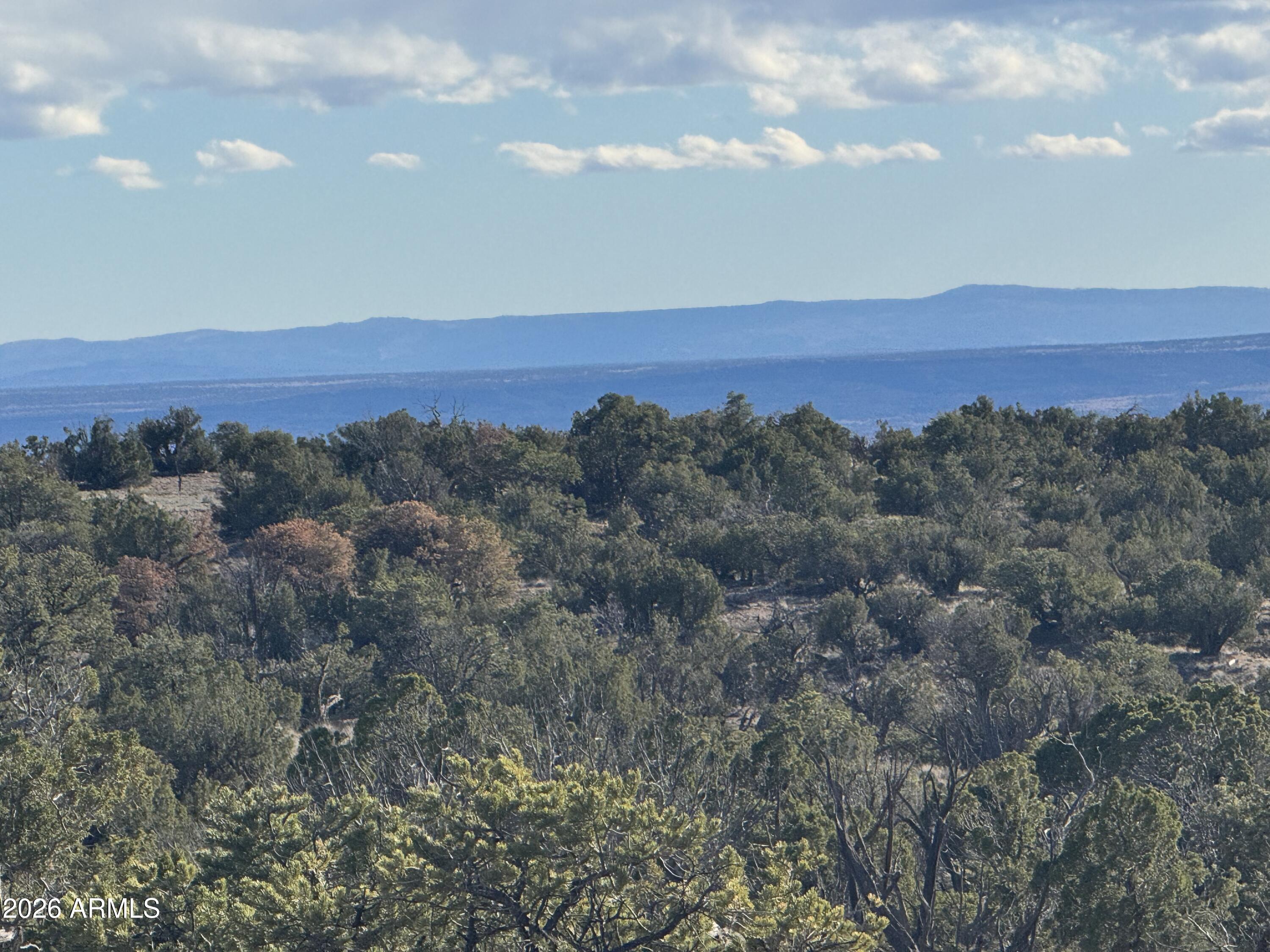 Lot 93 Red Sky Ranch 93, St Johns, AZ 85936