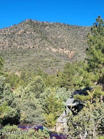 Lot 163 N Portal Drive 163, Pine, AZ 85544