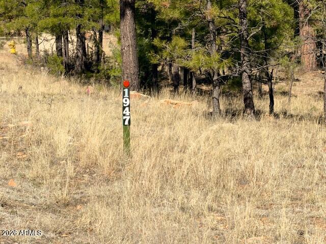 1947 PINE CANYON Drive 171, Happy Jack, AZ 86024