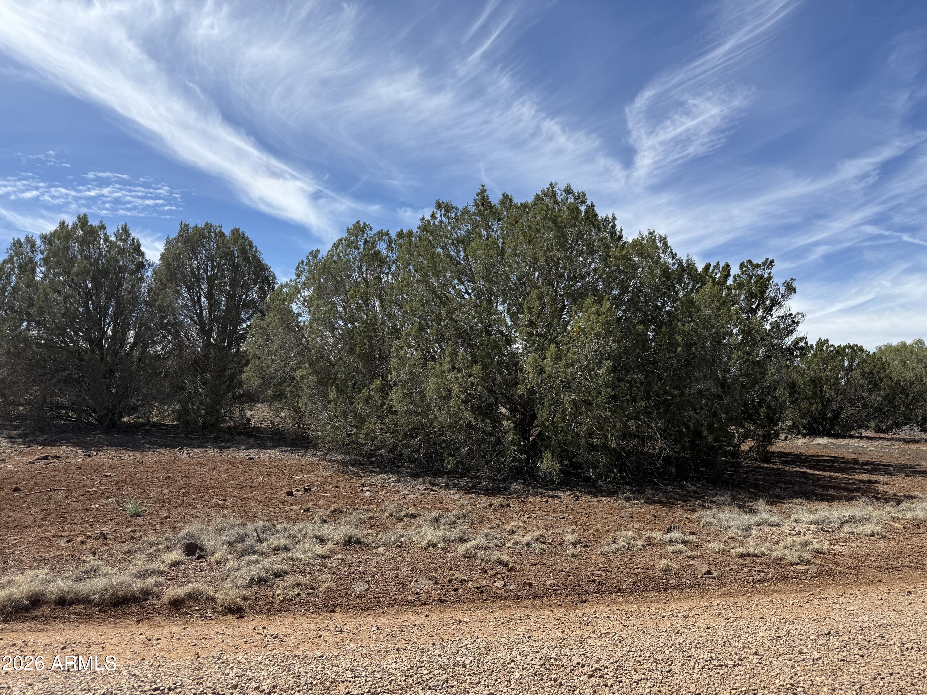 8389 BEAR MEADOW Drive 4, Show Low, AZ 85901