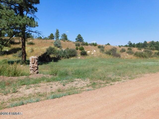 2806-2808 Pine Hill Drive 013 & 014, Overgaard, AZ 85933