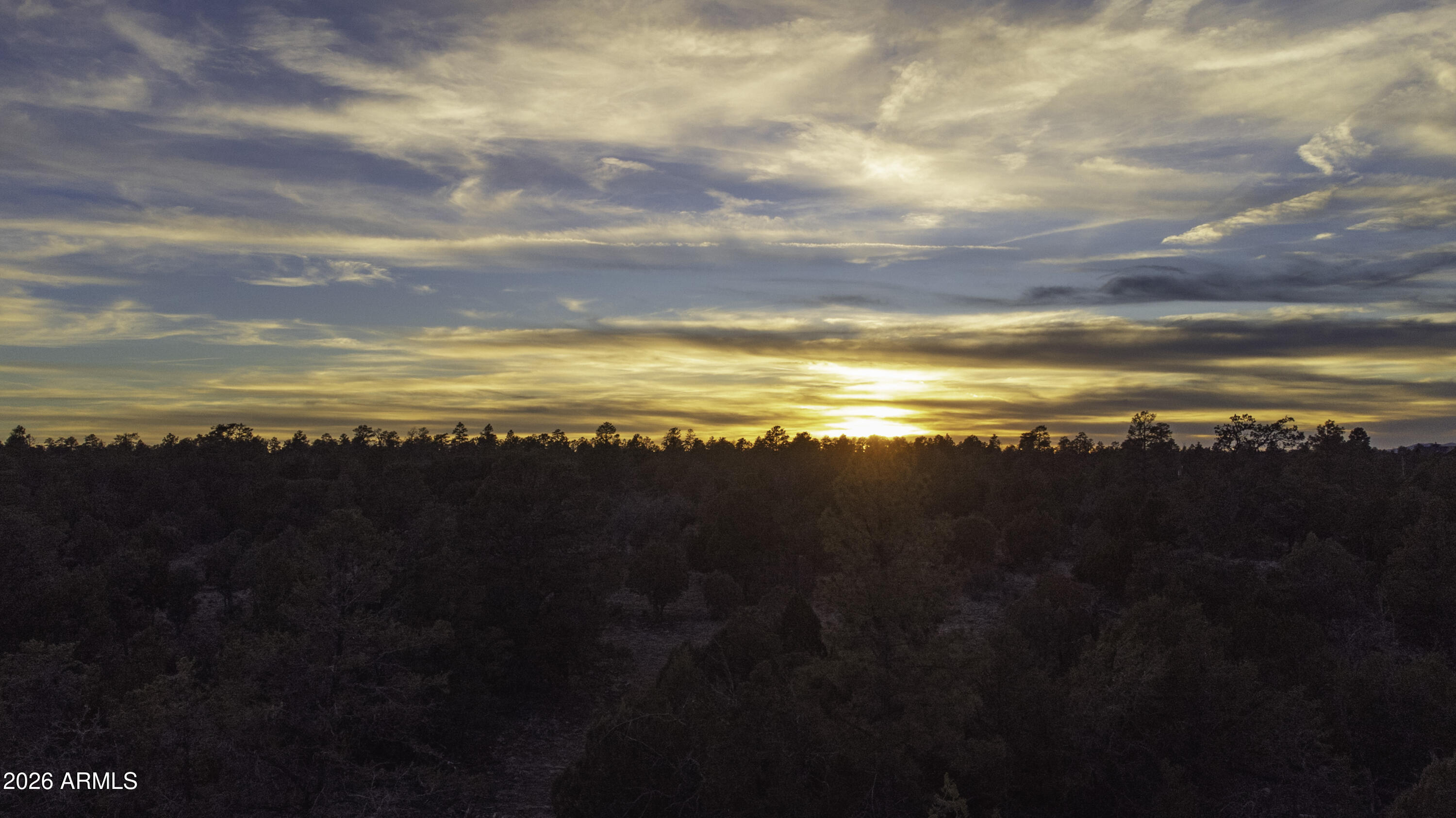 3633 SUNSET RIDGE Loop 166, Happy Jack, AZ 86024
