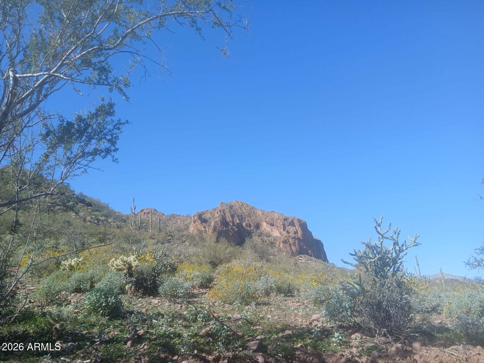 37750 S COW CREEK Road C, Morristown, AZ 85342