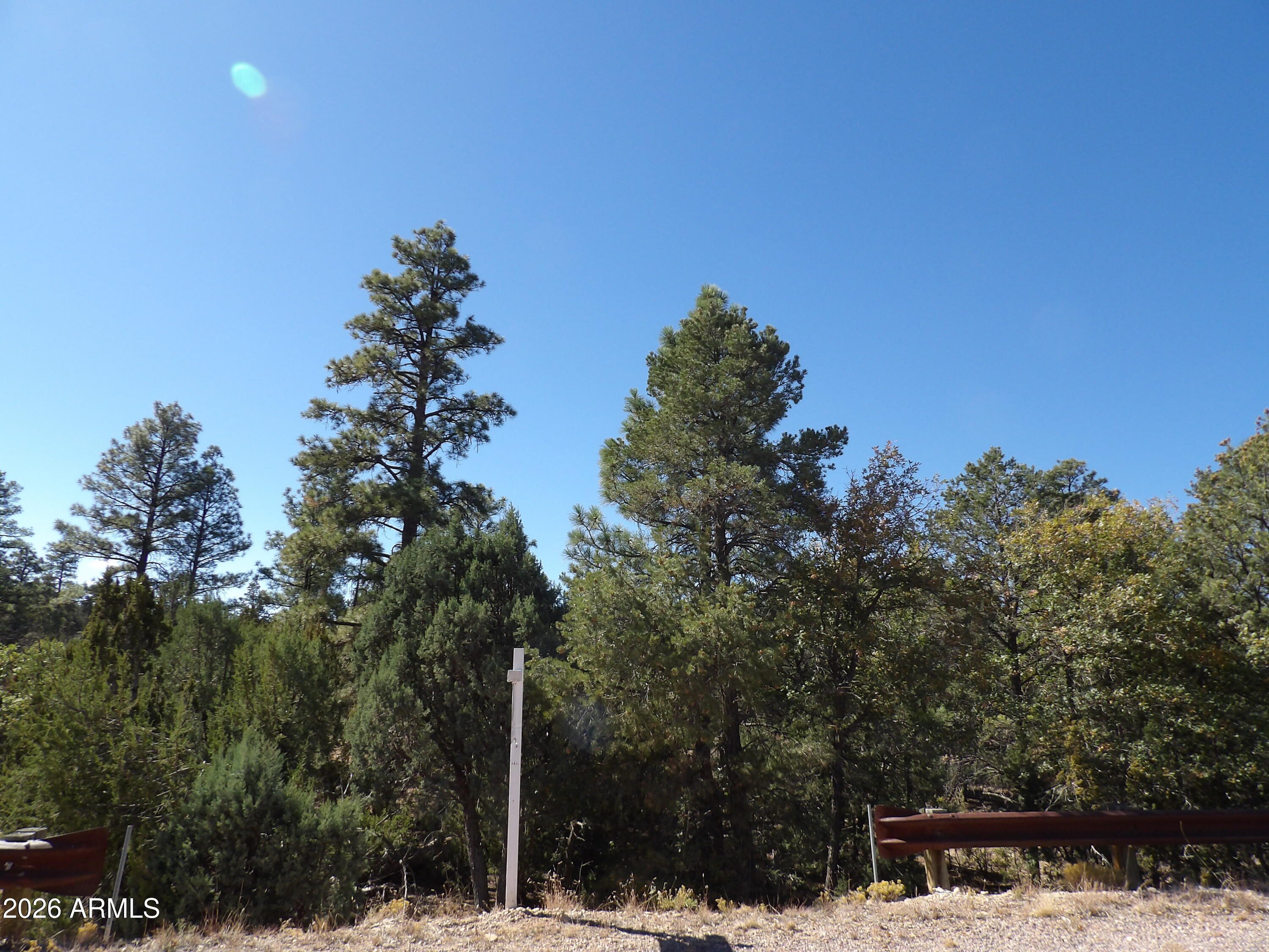 3642 PINEHURST Drive 169, Happy Jack, AZ 86024