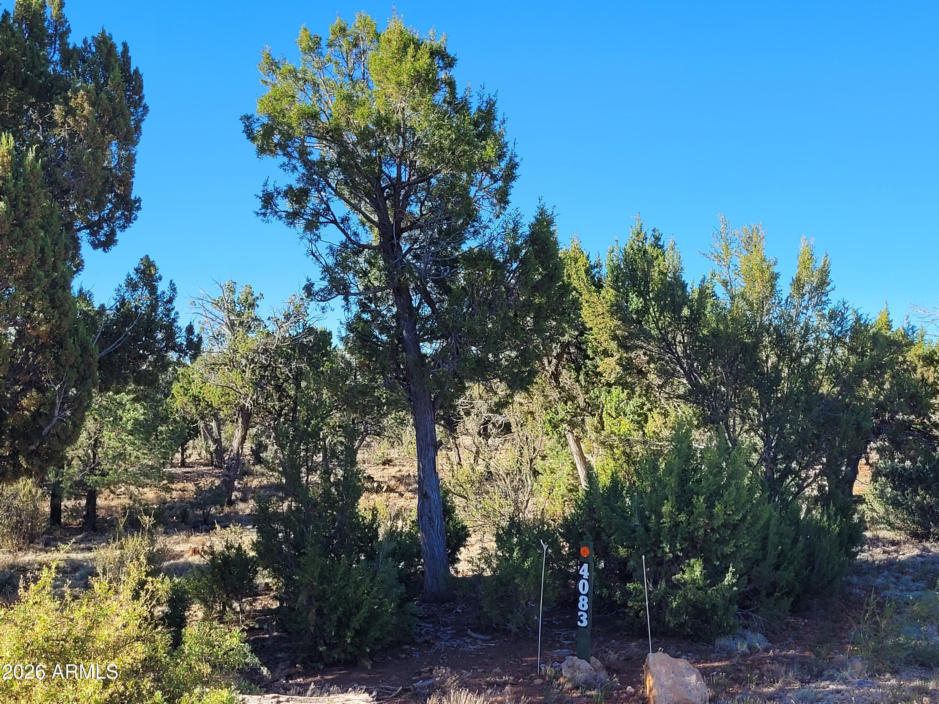 4083 SUNSET RIDGE Loop 175, Happy Jack, AZ 86024