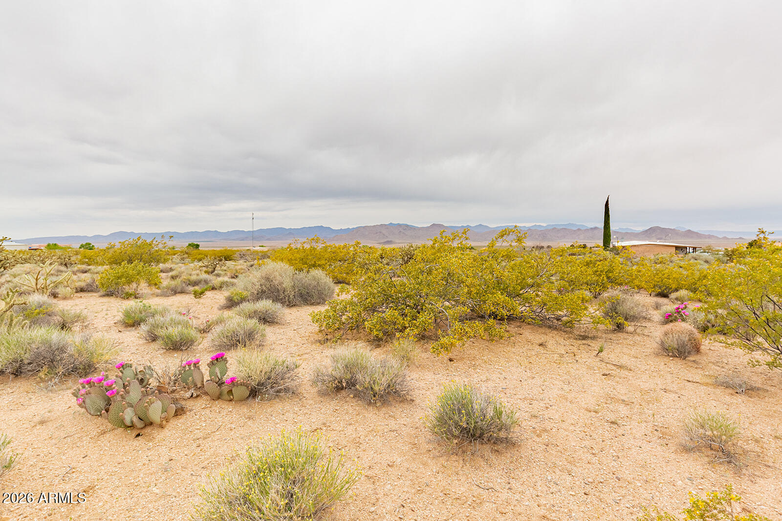 8699 N COCHISE Place 430, Kingman, AZ 86401
