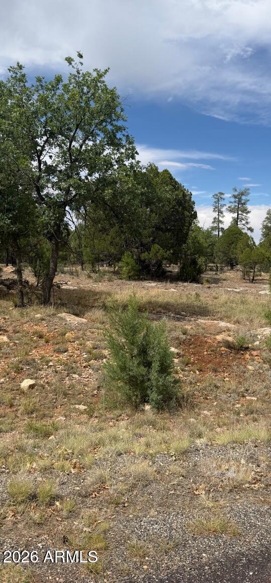 2989 ROBIN Lane 0, Happy Jack, AZ 86024