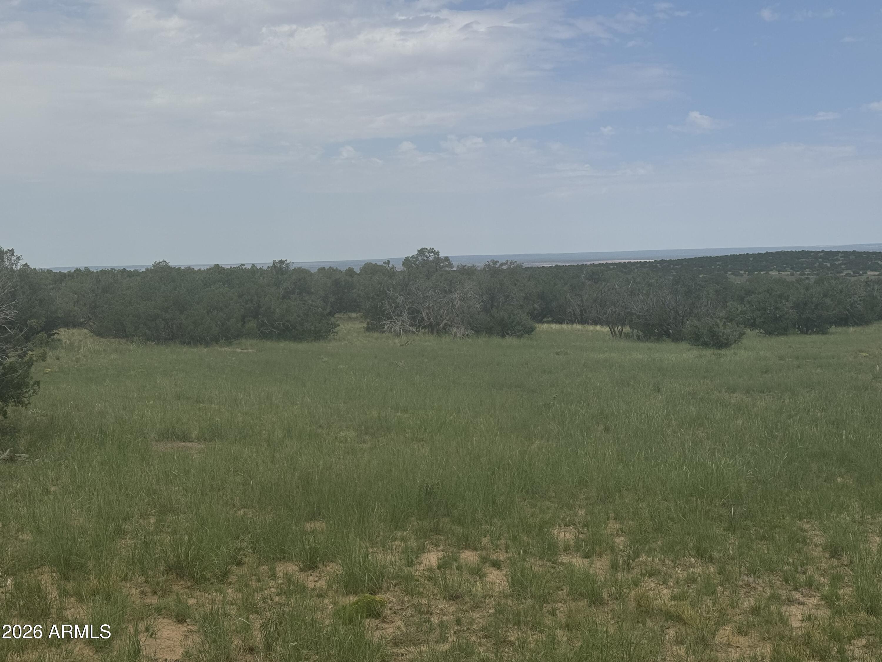 Lot 215 Woodland Valley Ranch 215, St Johns, AZ 85936