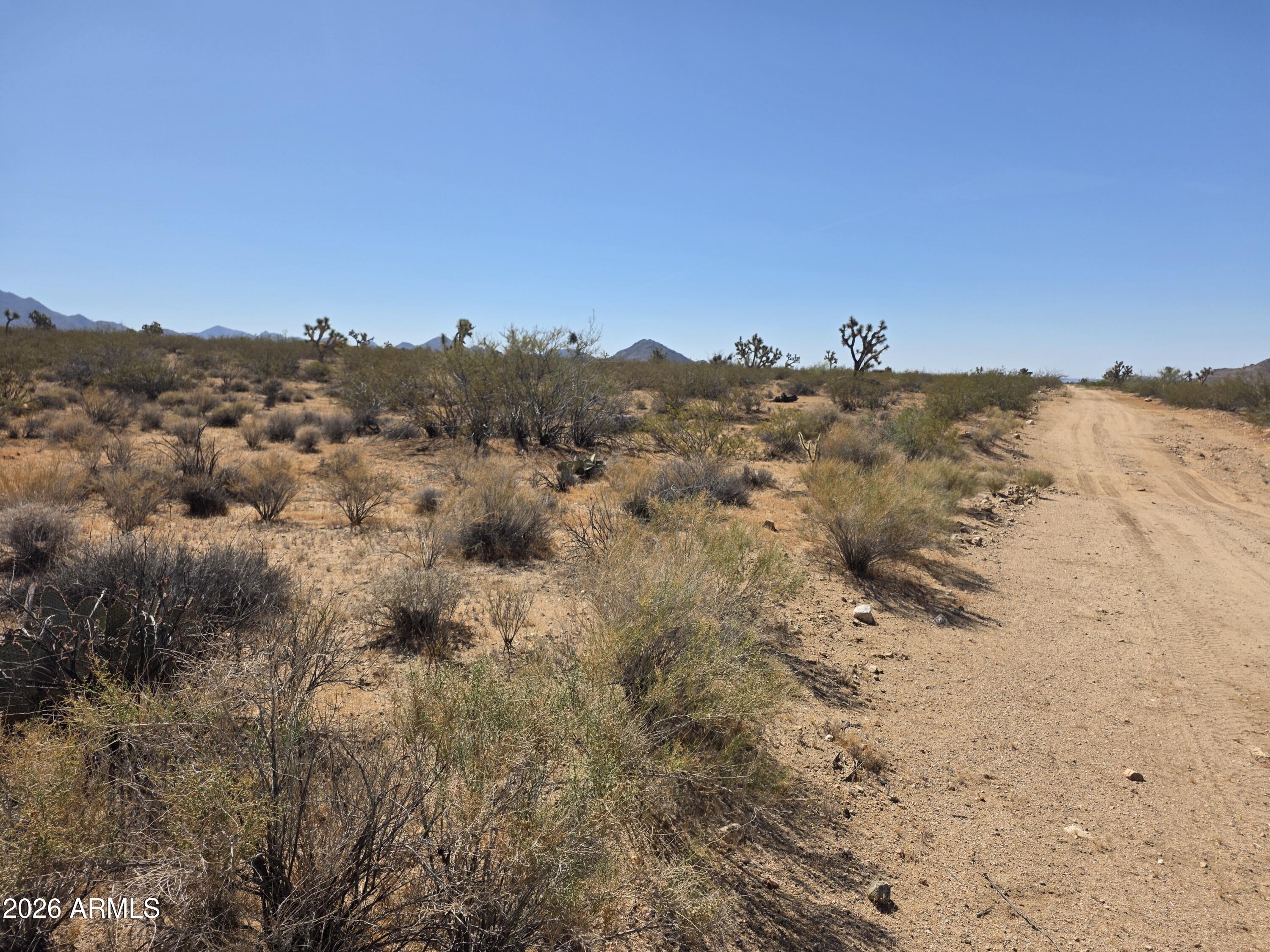 171 & 172 S Nash Road 22 & 23, Yucca, AZ 86438