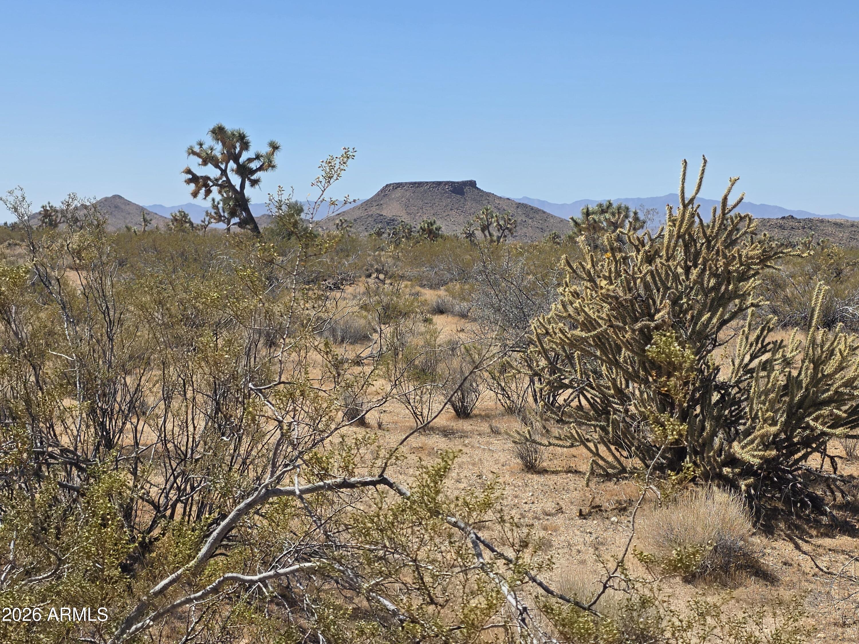 190 S Mary Place 11, Yucca, AZ 86438