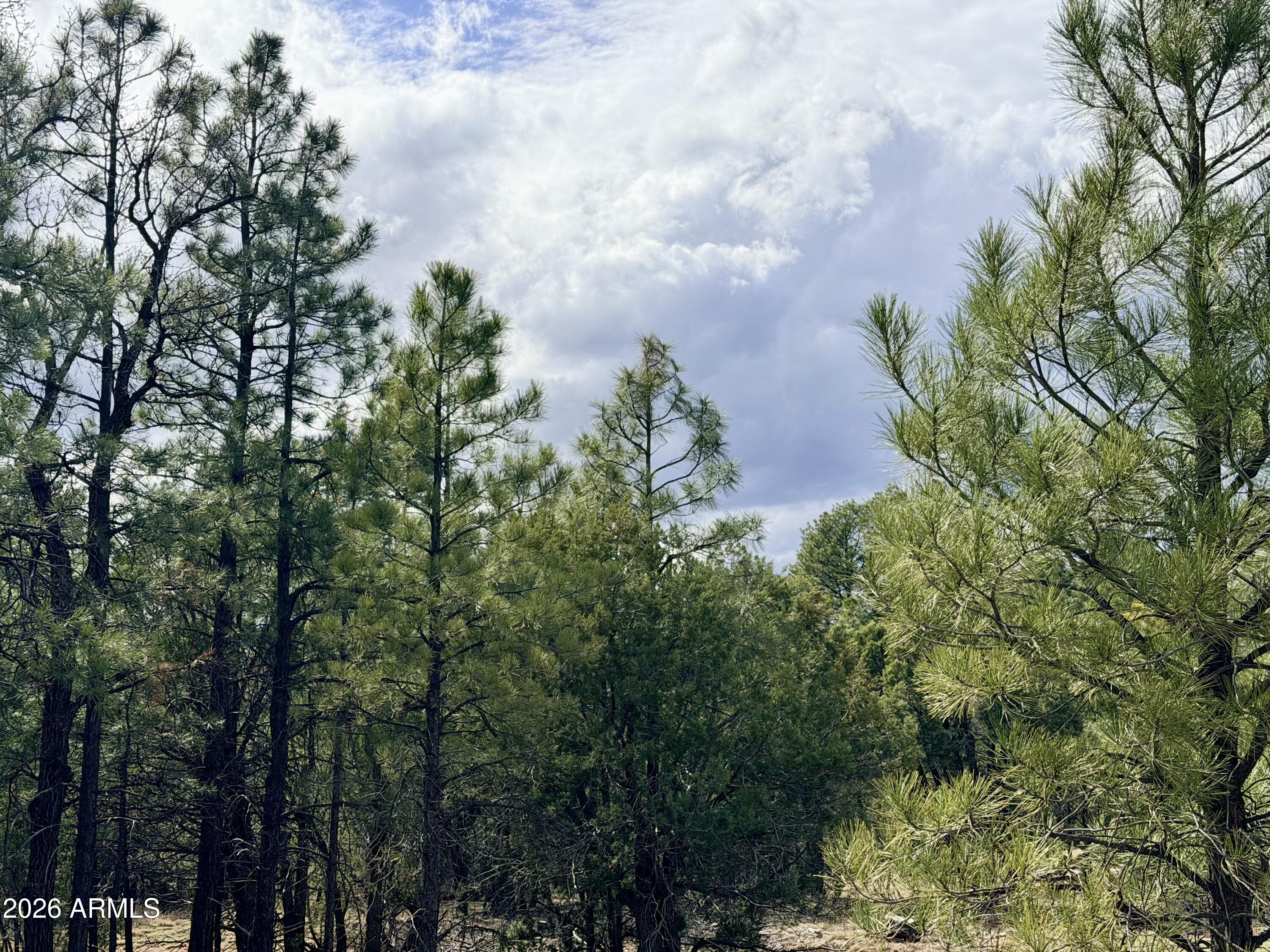 2588 Spoonbill Drive 7, Happy Jack, AZ 86024
