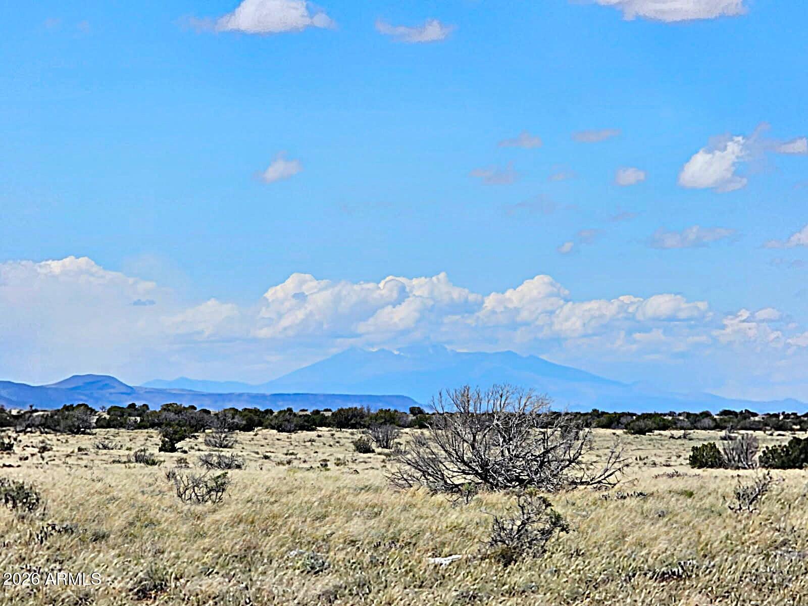 TBD Chev Cyn Ranch #3 Lot 461 461, Heber, AZ 85928