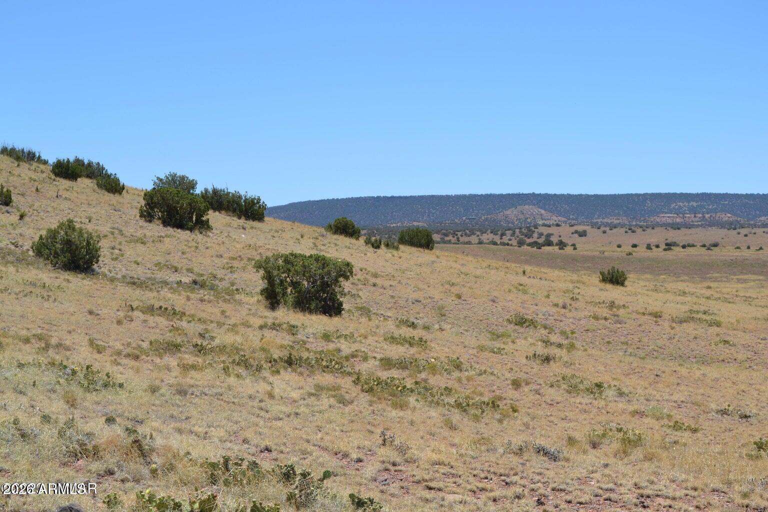Lot 863 ACR N8497 863, Concho, AZ 85924