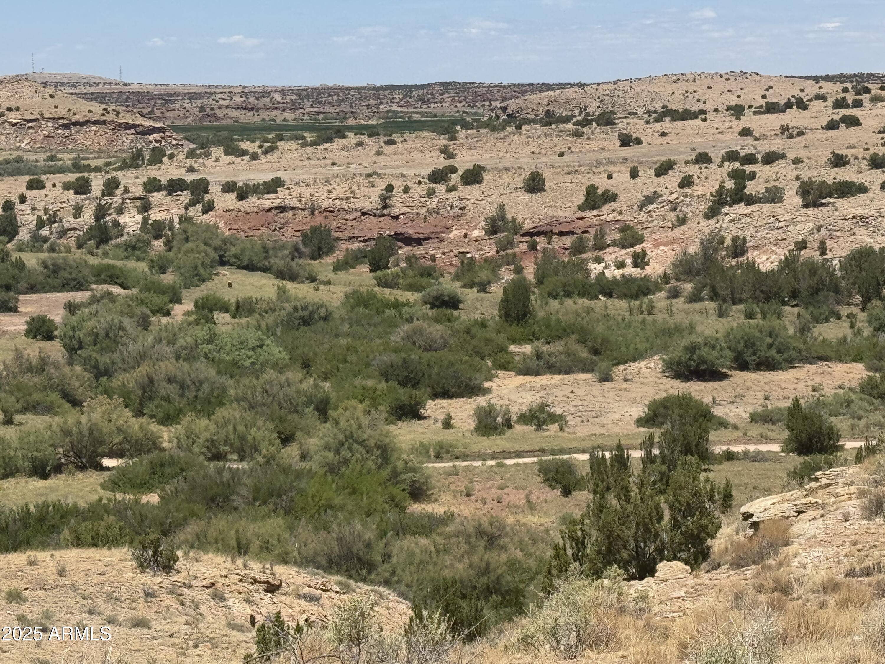 Lot 95 River Springs Ranch 095, St Johns, AZ 85936