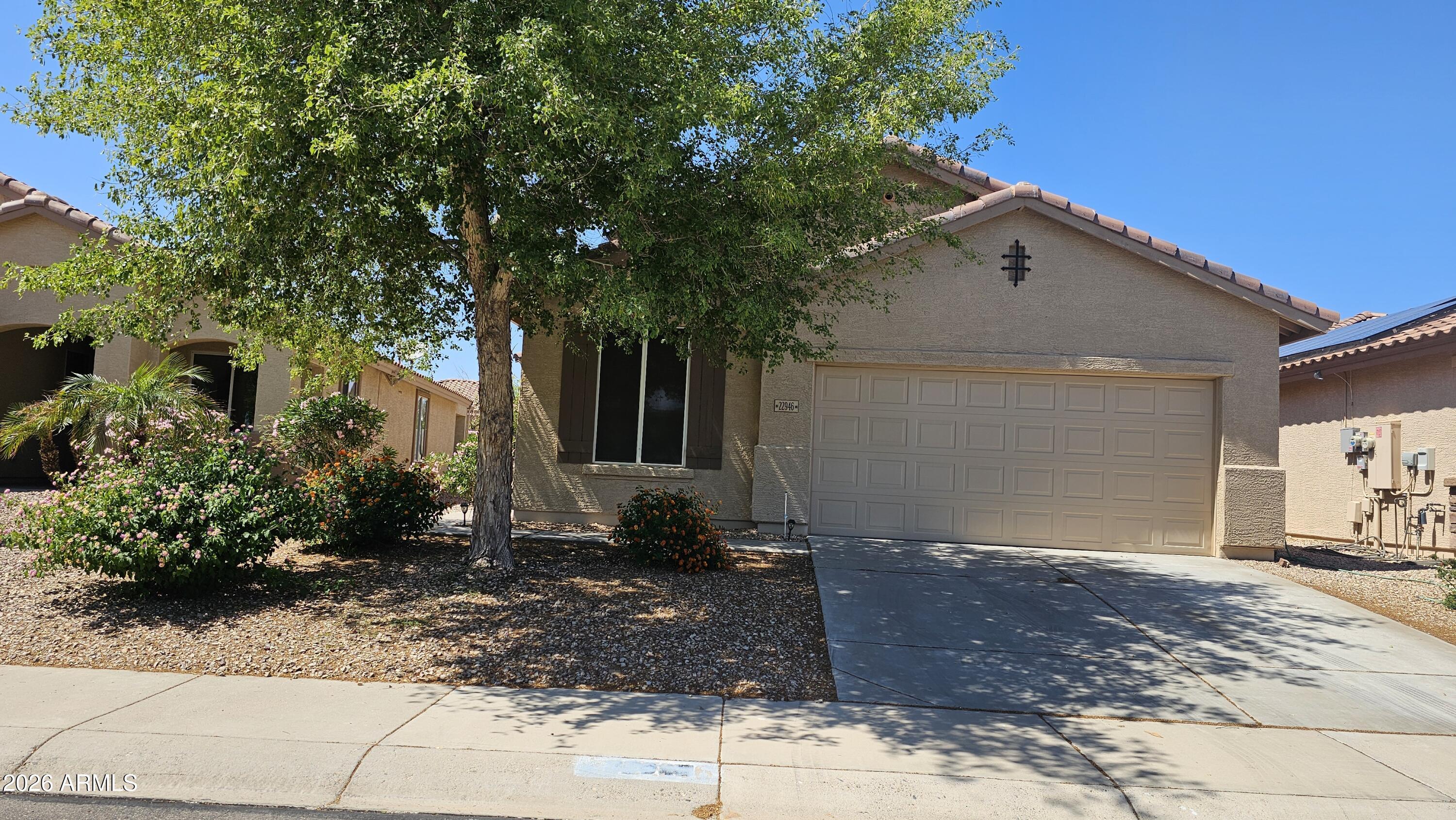 22946 W DESERT BLOOM Street, Buckeye, AZ 85326