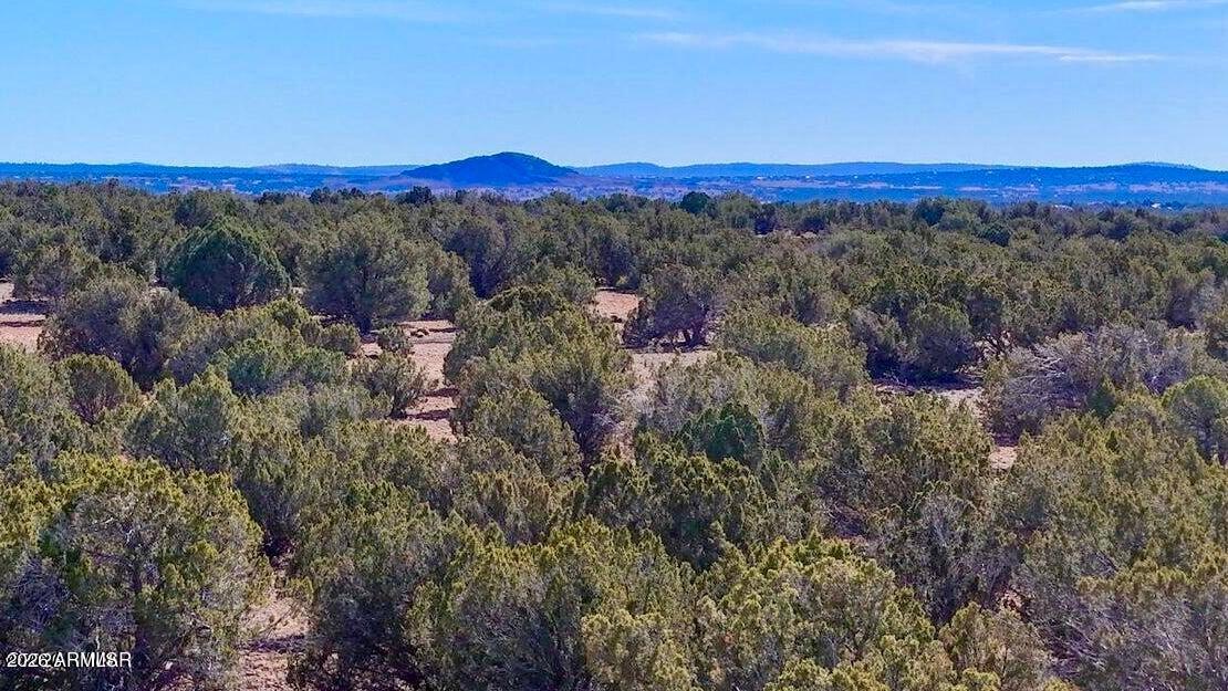 9023 Appaloosa Trl Lot A, 5 Acres -, Show Low, AZ 85901