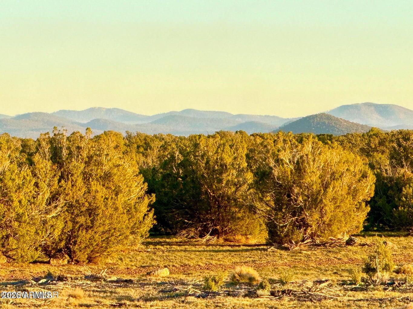 9023 Appaloosa Trl Lot C, 10 Acres -, Show Low, AZ 85901