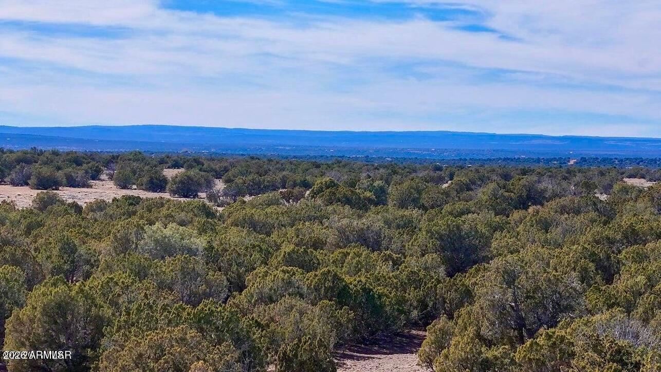 9023 Appaloosa Trl Lot D , 10 Acres -, Show Low, AZ 85901