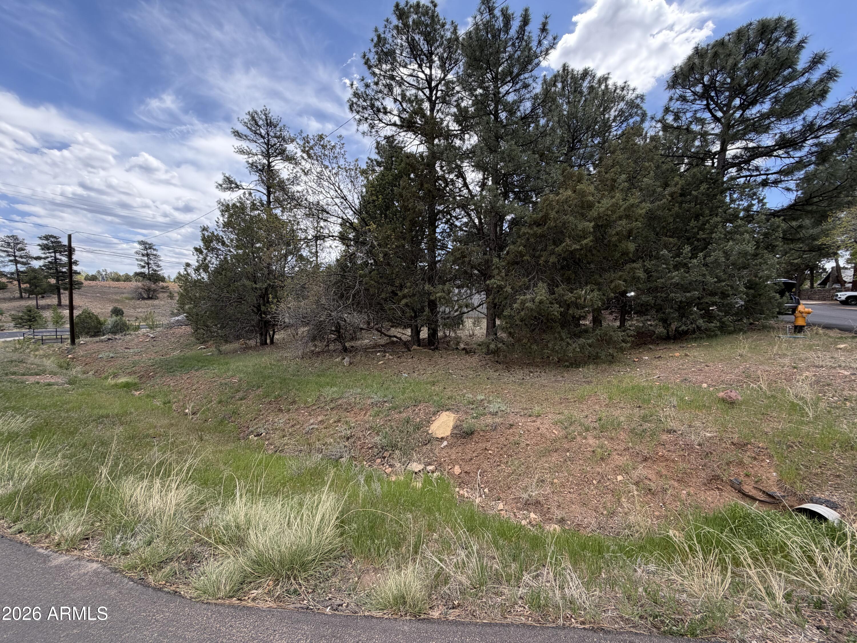 261 S 1ST Drive 4, Show Low, AZ 85901