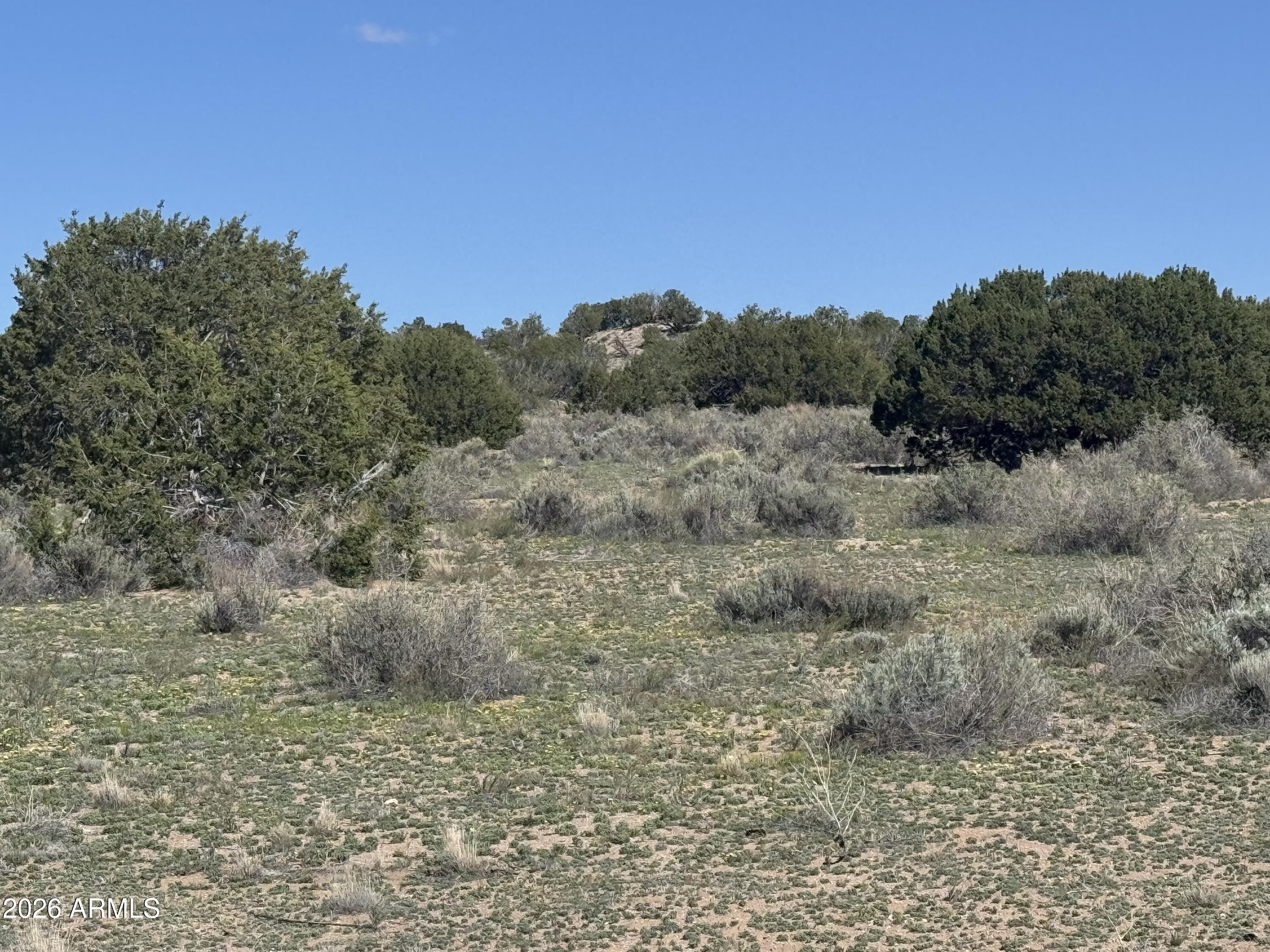Lot 531 Woodland Valley Ranch 531, St Johns, AZ 85936