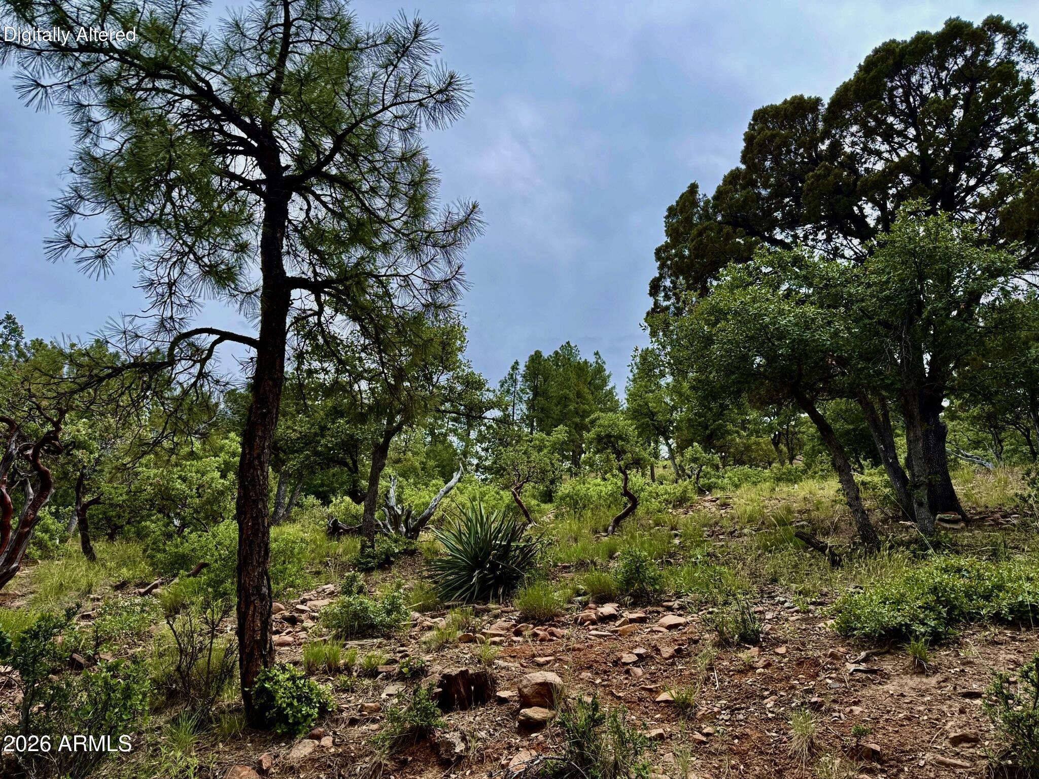 161 N Portal Drive 161, Pine, AZ 85544