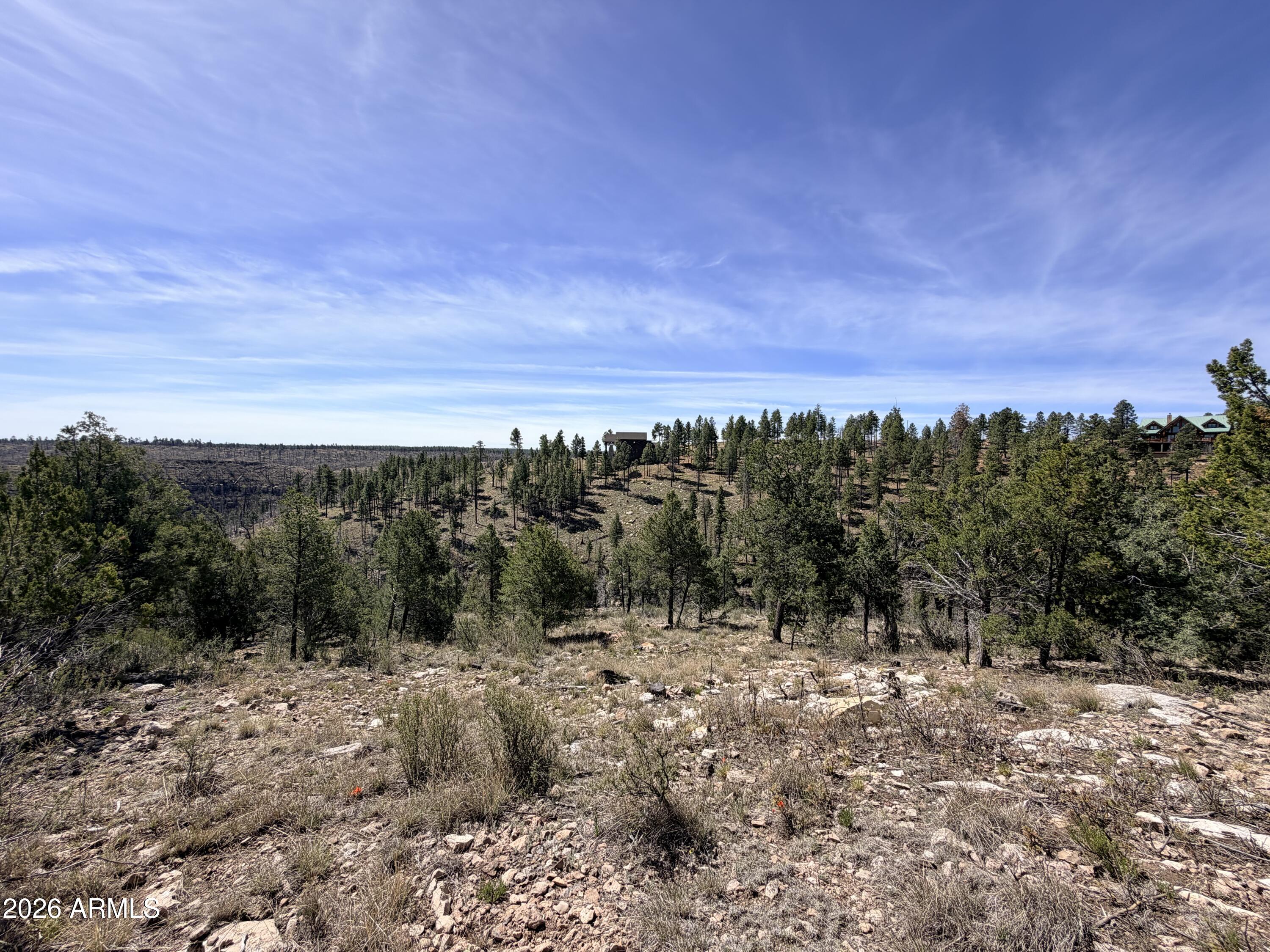 5088 MORNING VIEW Drive 6, Happy Jack, AZ 86024