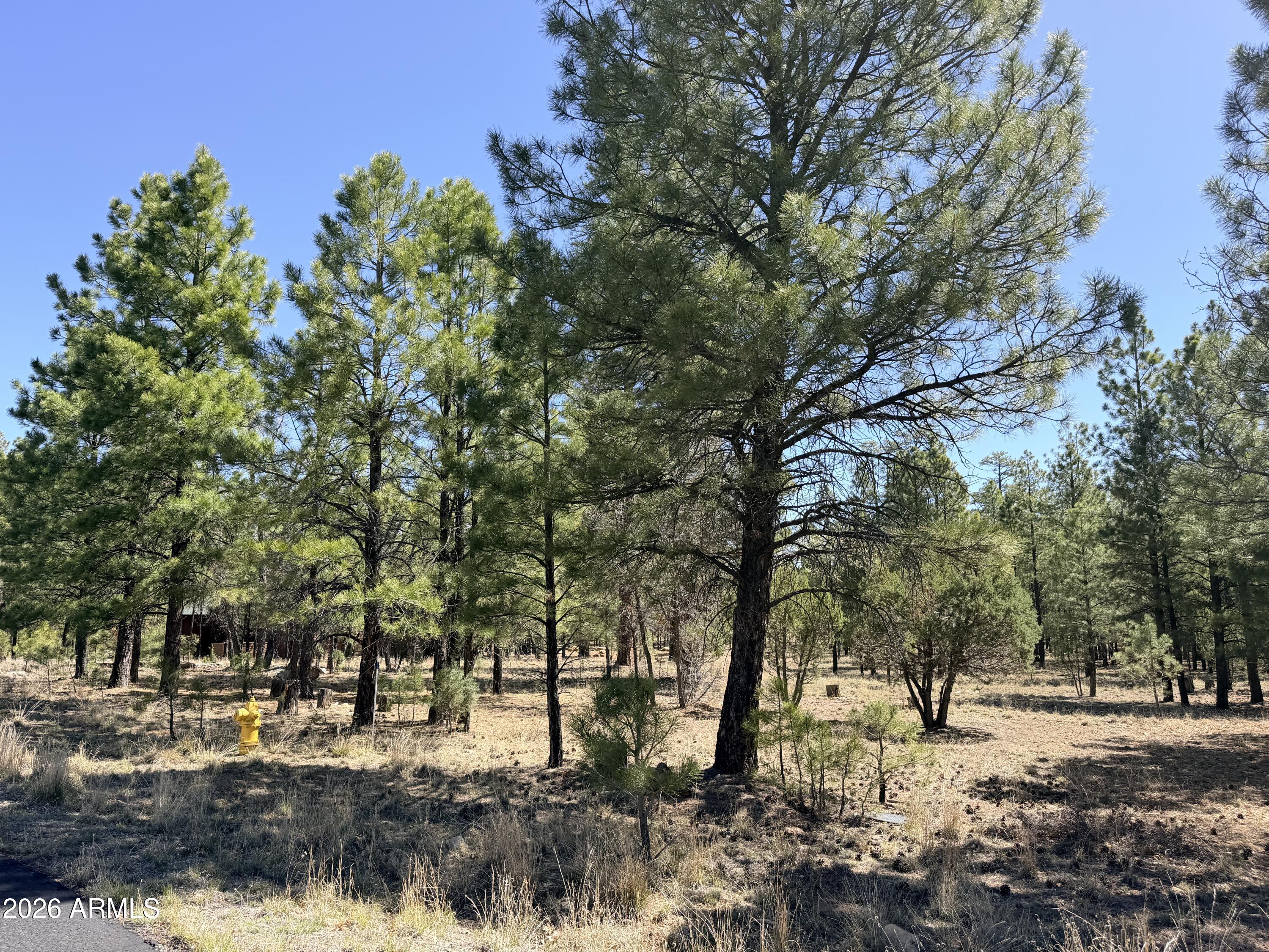 1755 SUGAR PINE Drive 232, Happy Jack, AZ 86024