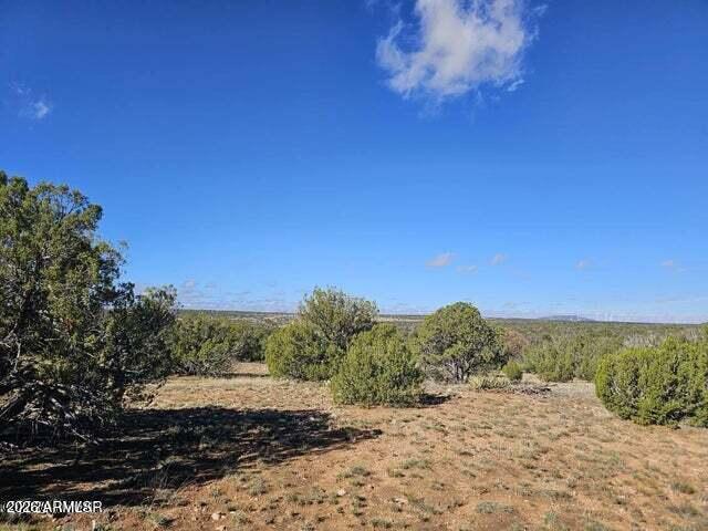 1725 Mcallister Avenue ' - ', Heber, AZ 85928