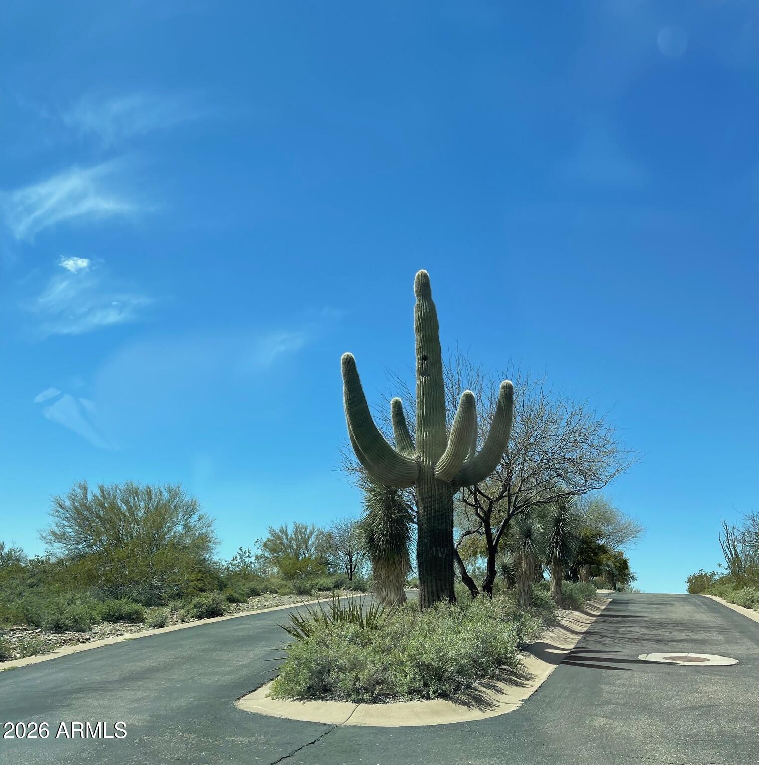 875 E MONTE VISTA Trail 9, Wickenburg, AZ 85390