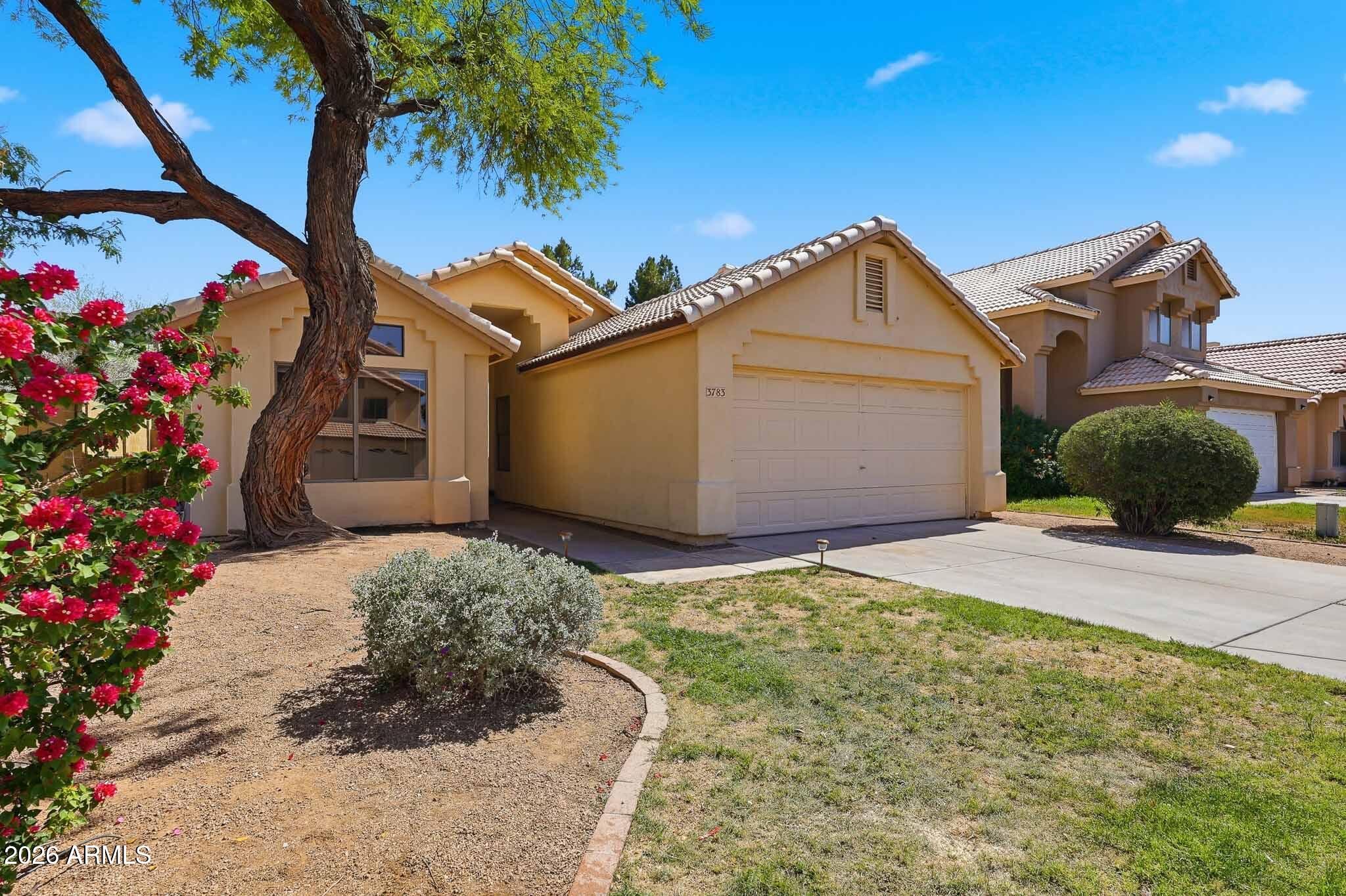 3783 W PARK Avenue, Chandler, AZ 85226