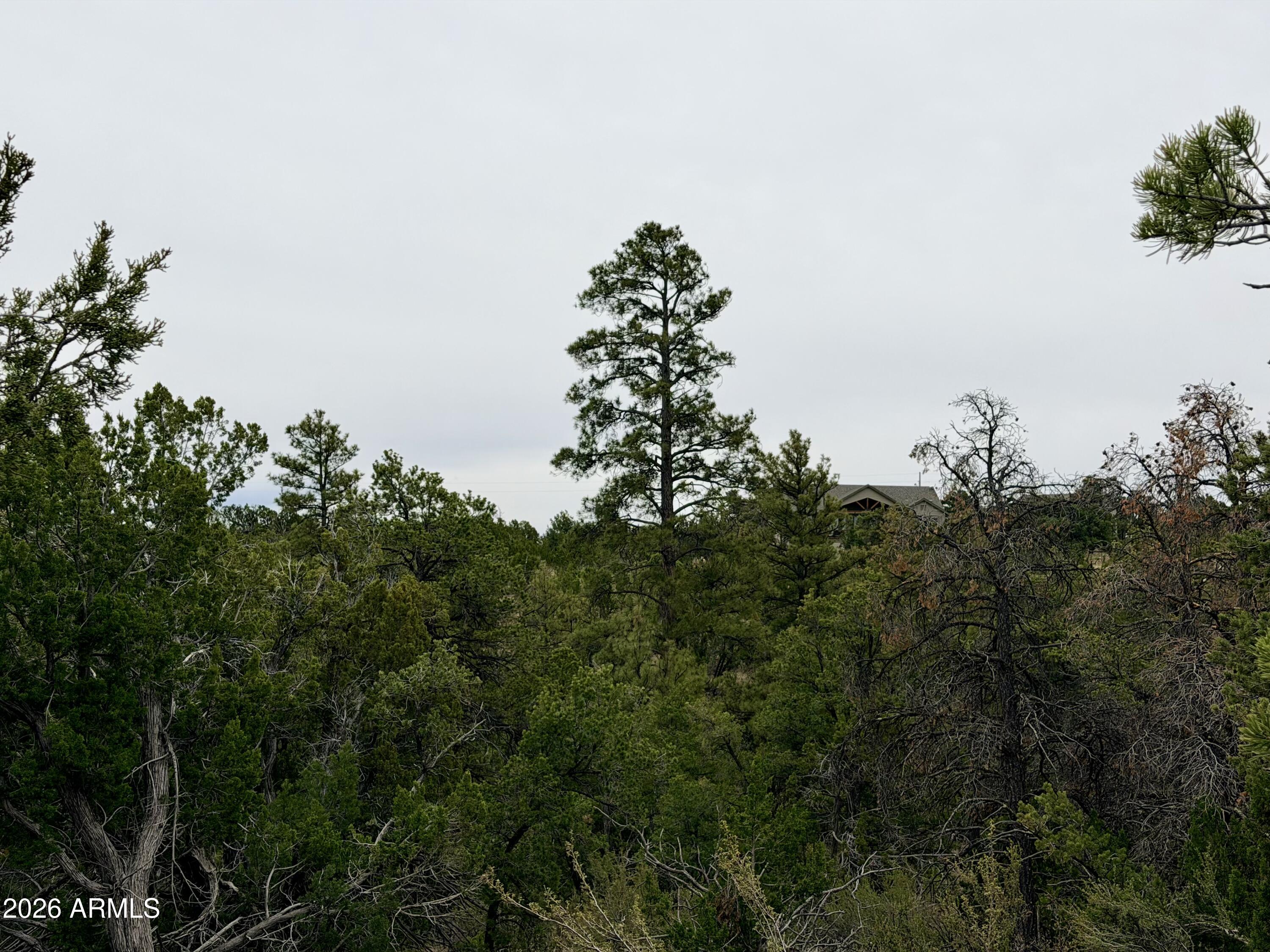 4918 SUNSET RIDGE Loop 199, Happy Jack, AZ 86024