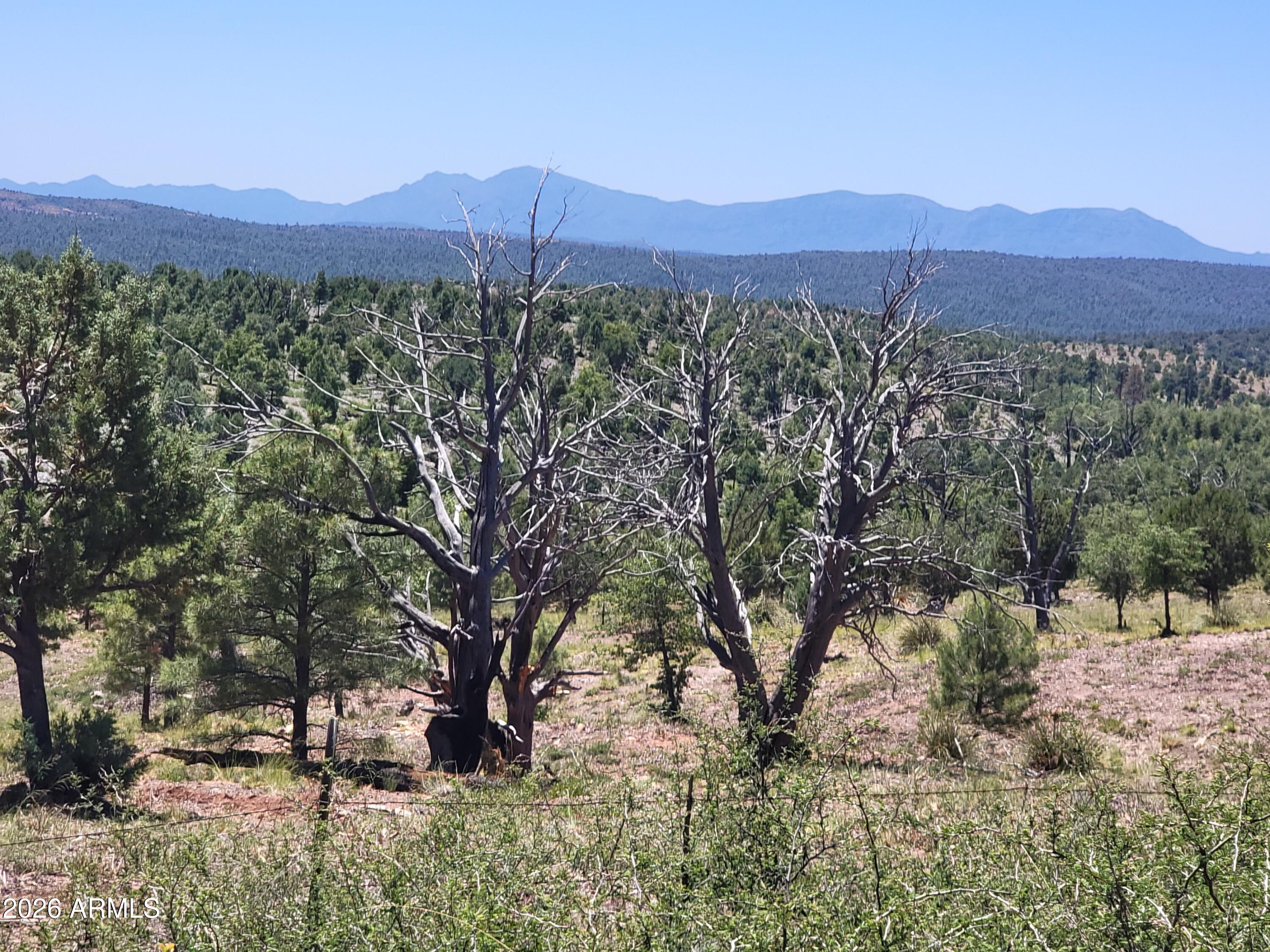 41 & 42 Antelope Trail 41 & 42, Payson, AZ 85541