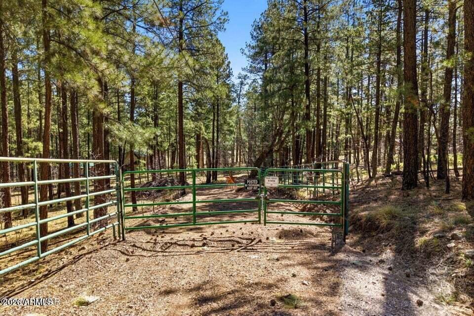 11 COUNTY ROAD 2135 n/a, Alpine, AZ 85920